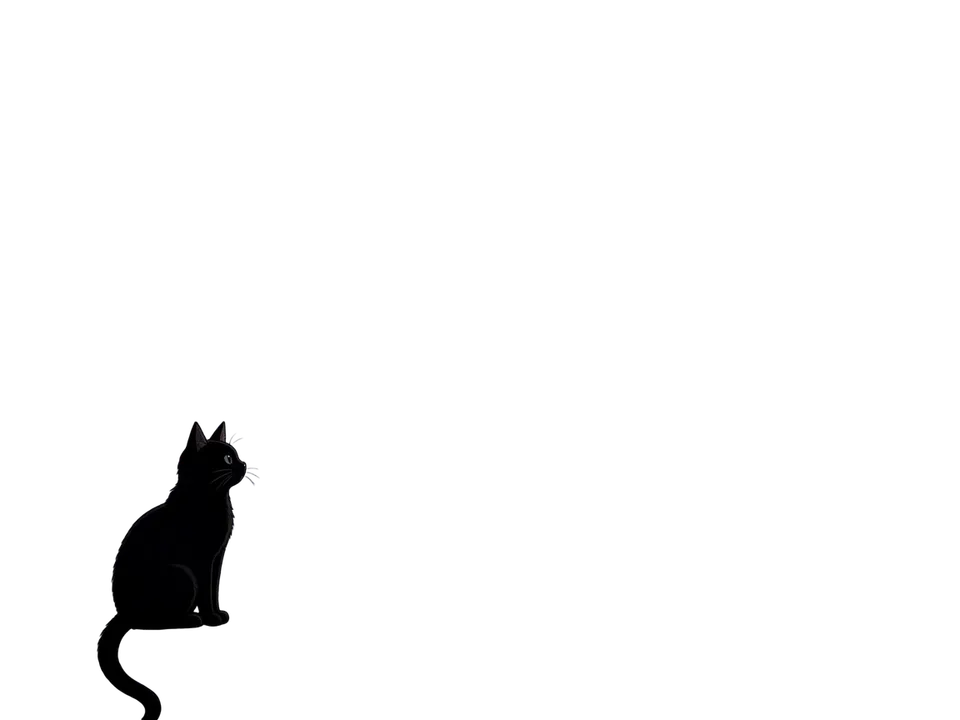 Bildebene Black cat