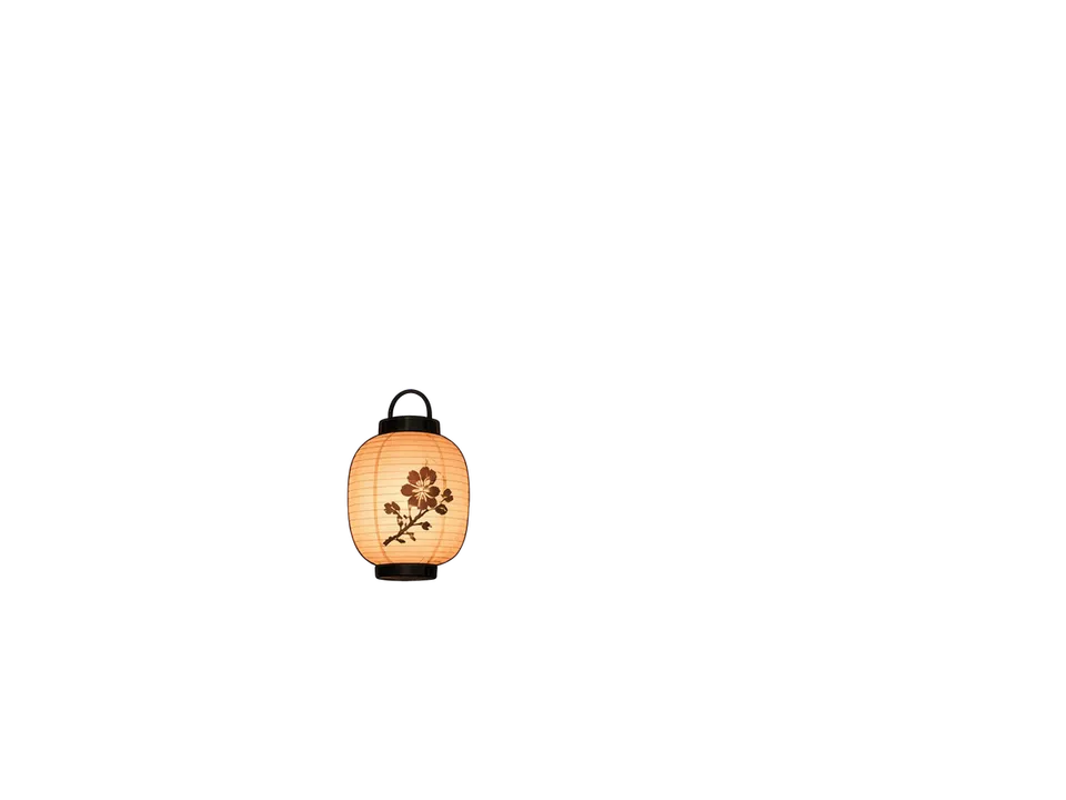 Bildebene Paper lantern